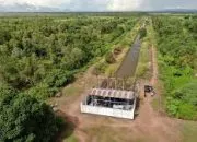 Pembangunan Lumbung Pangan di Merauke: Peluang dan Tantangan